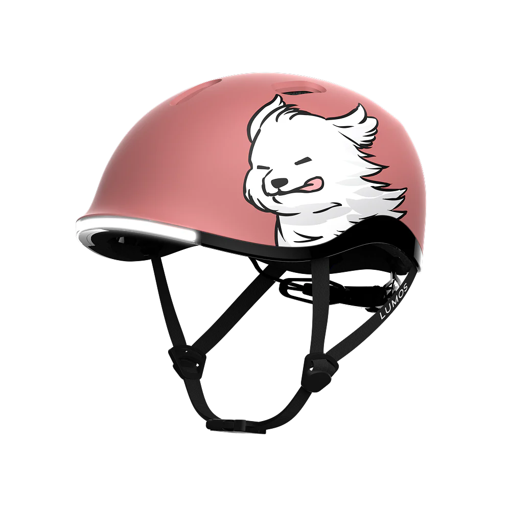 Product image 49